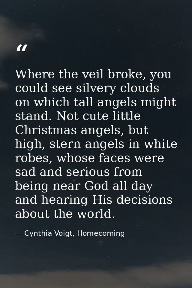 Where the veil broke, you could see silvery clouds on which tall angels might stand. Not cute little Christmas angels, b — Cynthia Voigt, Homecoming