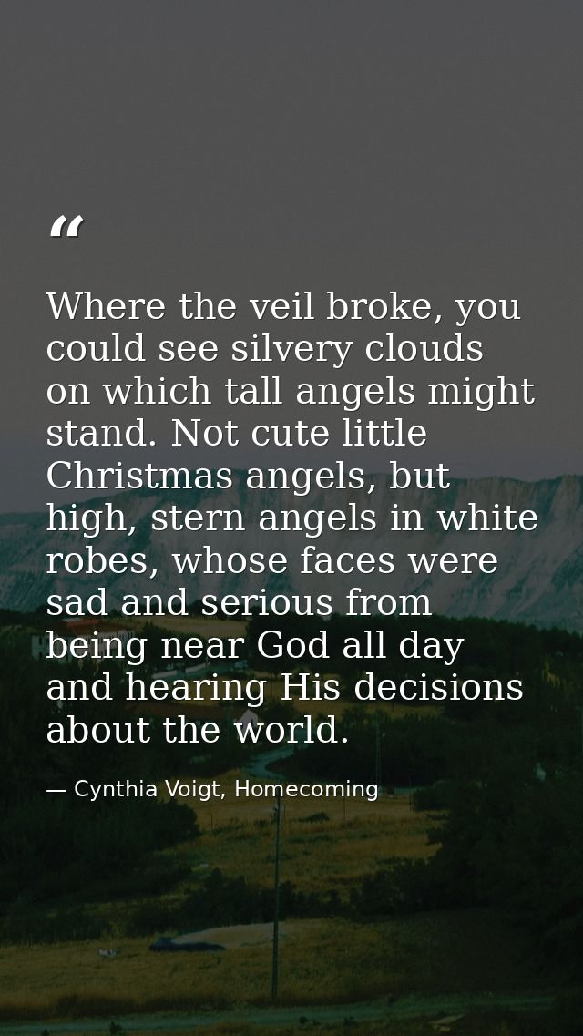 Where the veil broke, you could see silvery clouds on which tall angels might stand. Not cute little Christmas angels, b — Cynthia Voigt, Homecoming