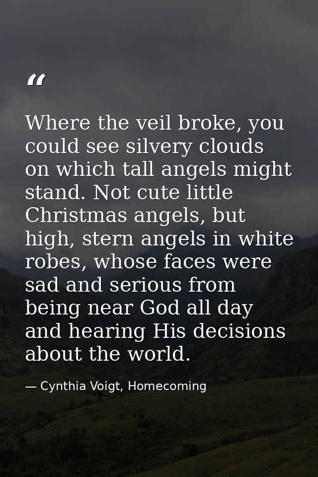 Where the veil broke, you could see silvery clouds on which tall angels might stand. Not cute little Christmas angels, b — Cynthia Voigt, Homecoming