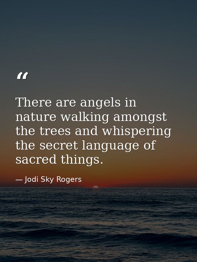 There are angels in nature walking amongst the trees and whispering the secret language of sacred things. — Jodi Sky Rogers