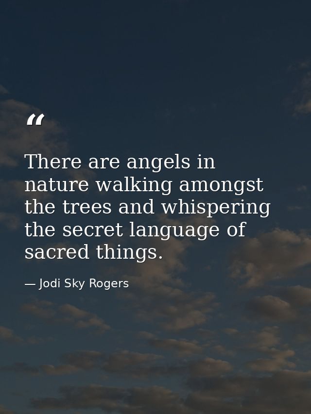 There are angels in nature walking amongst the trees and whispering the secret language of sacred things. — Jodi Sky Rogers