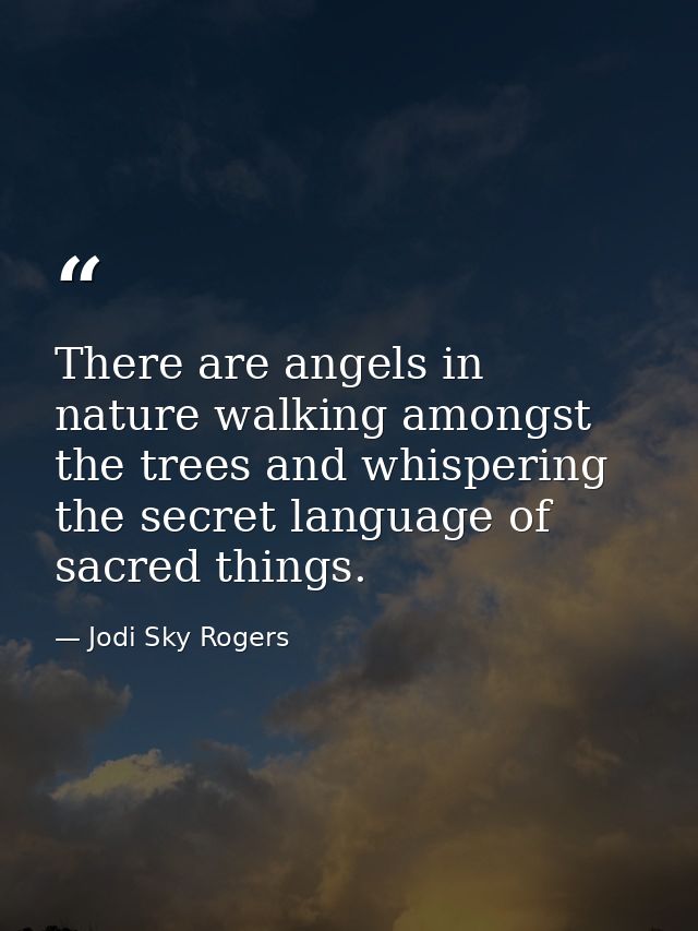 There are angels in nature walking amongst the trees and whispering the secret language of sacred things. — Jodi Sky Rogers