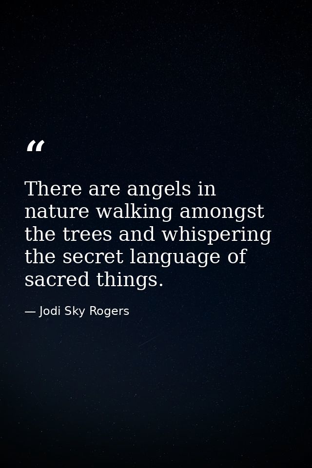 There are angels in nature walking amongst the trees and whispering the secret language of sacred things. — Jodi Sky Rogers