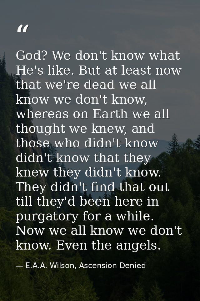 God? We don't know what He's like. But at least now that we're dead we all know we don't know, whereas on Earth we all t — E.A.A. Wilson, Ascension Denied