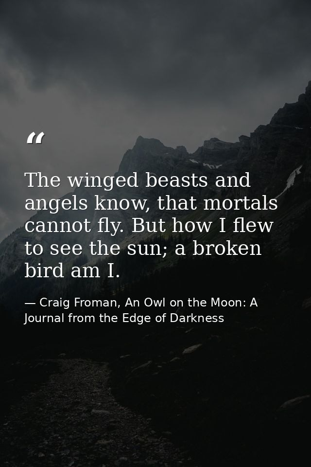 The winged beasts and angels know, that mortals cannot fly. But how I flew to see the sun; a broken bird am I. — Craig Froman, An Owl on the Moon: A Journal from the Edge of Darkness