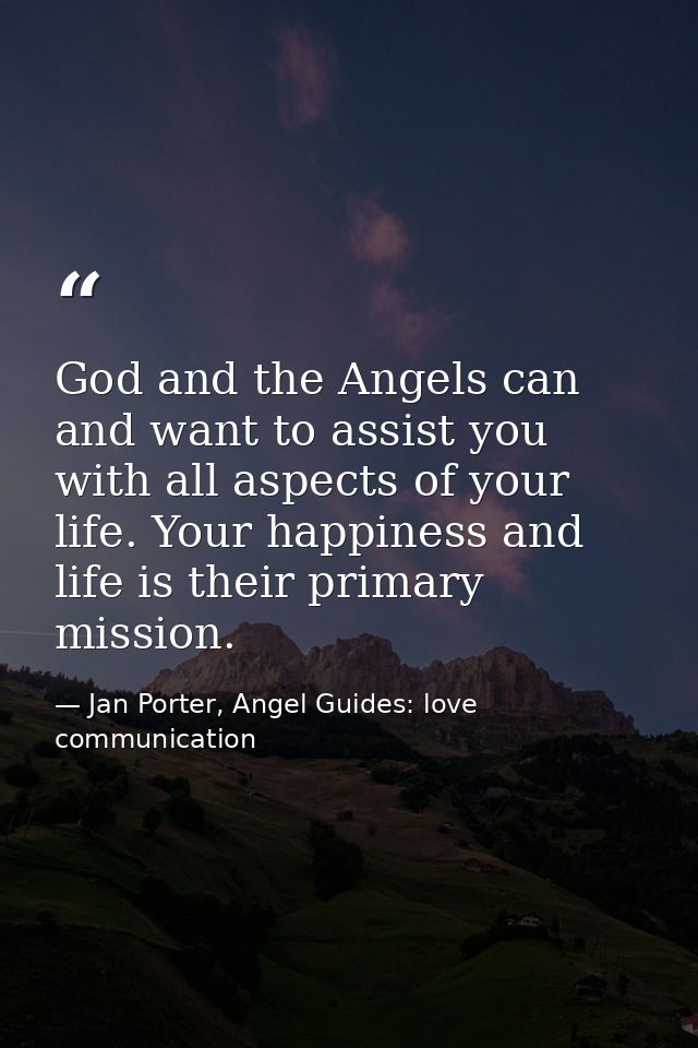 God and the Angels can and want to assist you with all aspects of your life. Your happiness and life is their primary mi — Jan Porter, Angel Guides: love communication