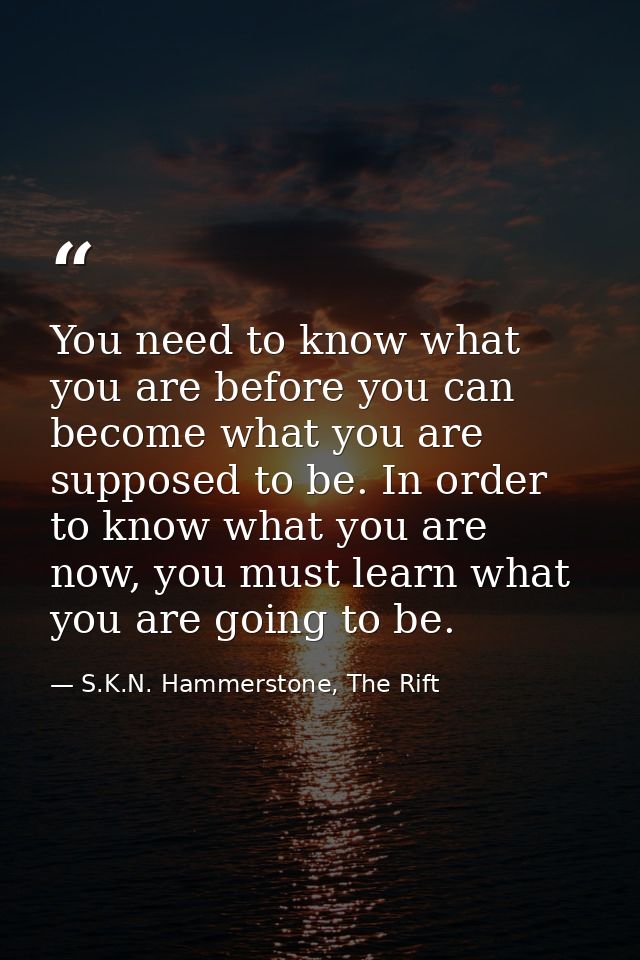 You need to know what you are before you can become what you are supposed to be. In order to know what you are now, you  — S.K.N. Hammerstone, The Rift