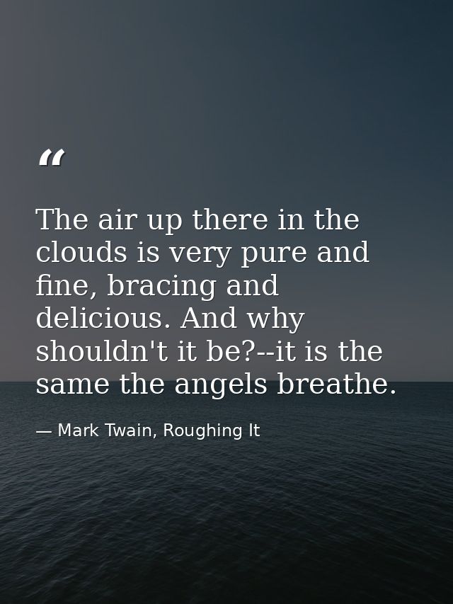 The air up there in the clouds is very pure and fine, bracing and delicious. And why shouldn't it be?--it is the same th — Mark Twain, Roughing It