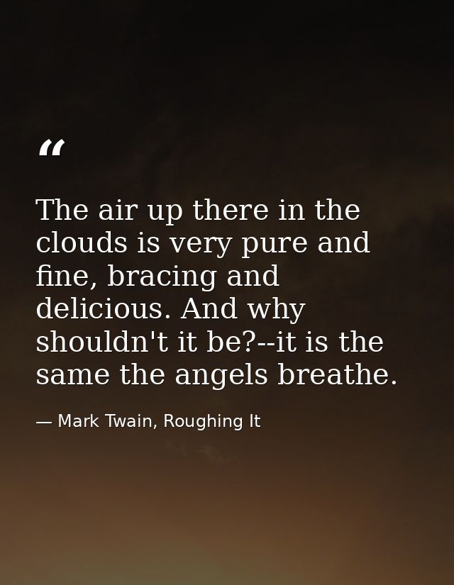 The air up there in the clouds is very pure and fine, bracing and delicious. And why shouldn't it be?--it is the same th — Mark Twain, Roughing It