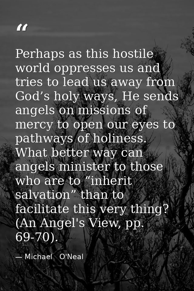 Perhaps as this hostile world oppresses us and tries to lead us away from God’s holy ways, He sends angels on missions o — Michael   O'Neal