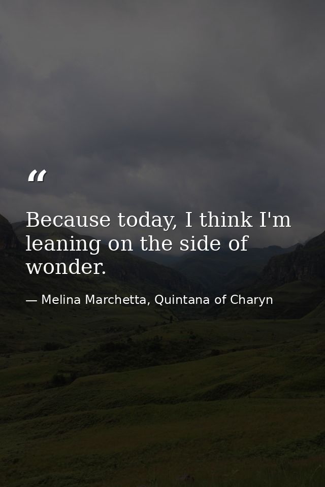 Because today, I think I'm leaning on the side of wonder. — Melina Marchetta, Quintana of Charyn