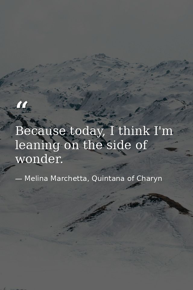 Because today, I think I'm leaning on the side of wonder. — Melina Marchetta, Quintana of Charyn
