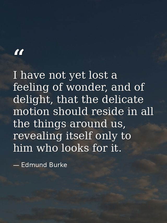 I have not yet lost a feeling of wonder, and of delight, that the delicate motion should reside in all the things around — Edmund Burke