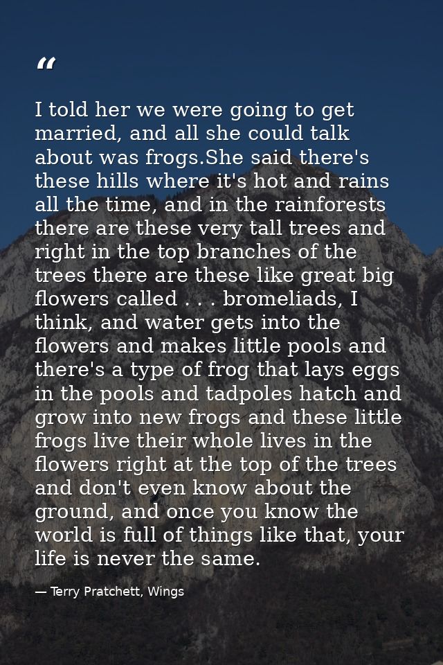 I told her we were going to get married, and all she could talk about was frogs.She said there's these hills where it's  — Terry Pratchett, Wings
