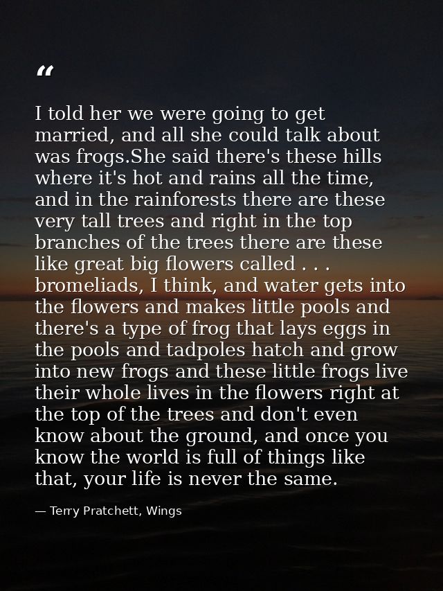 I told her we were going to get married, and all she could talk about was frogs.She said there's these hills where it's  — Terry Pratchett, Wings