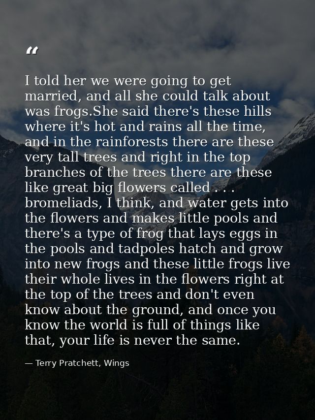 I told her we were going to get married, and all she could talk about was frogs.She said there's these hills where it's  — Terry Pratchett, Wings