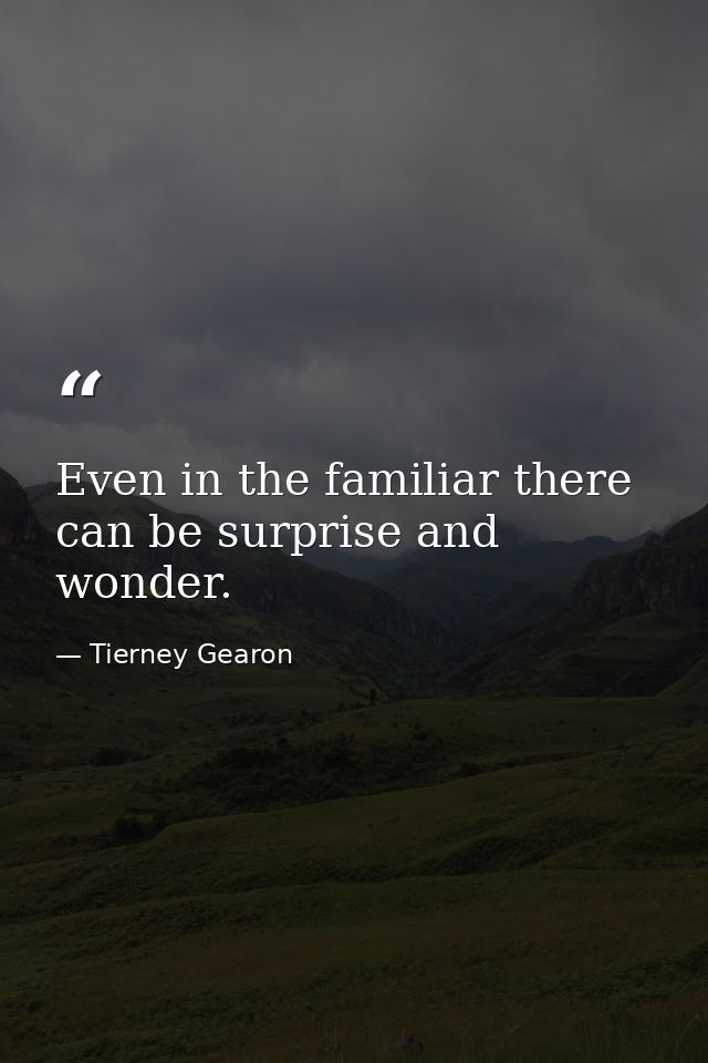Even in the familiar there can be surprise and wonder. — Tierney Gearon