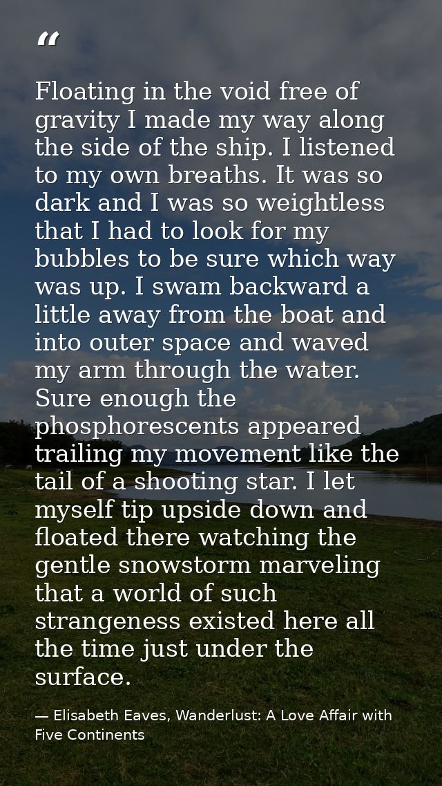 Floating in the void free of gravity I made my way along the side of the ship. I listened to my own breaths. It was so d — Elisabeth Eaves, Wanderlust: A Love Affair with Five Continents