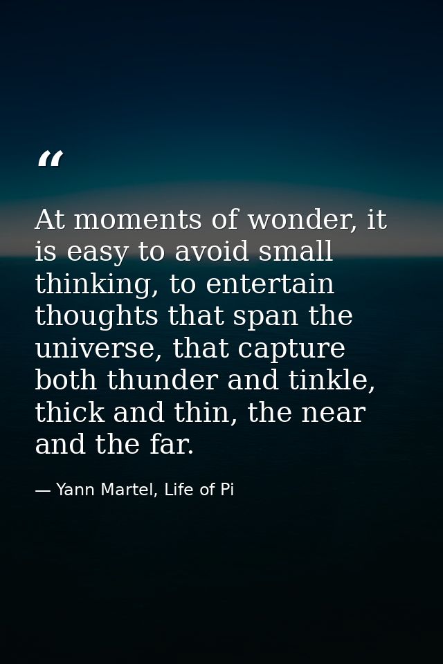 At moments of wonder, it is easy to avoid small thinking, to entertain thoughts that span the universe, that capture bot — Yann Martel, Life of Pi