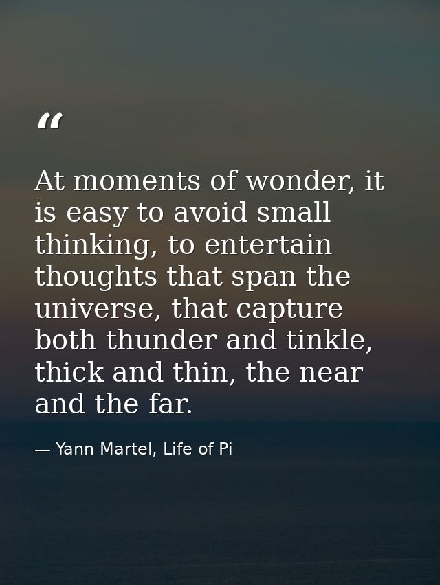At moments of wonder, it is easy to avoid small thinking, to entertain thoughts that span the universe, that capture bot — Yann Martel, Life of Pi