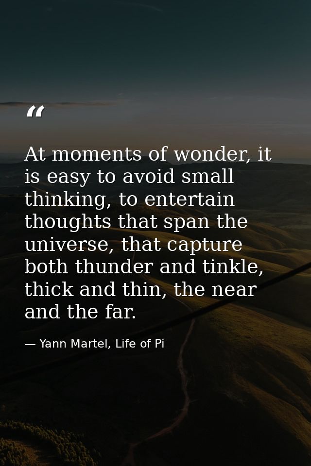 At moments of wonder, it is easy to avoid small thinking, to entertain thoughts that span the universe, that capture bot — Yann Martel, Life of Pi