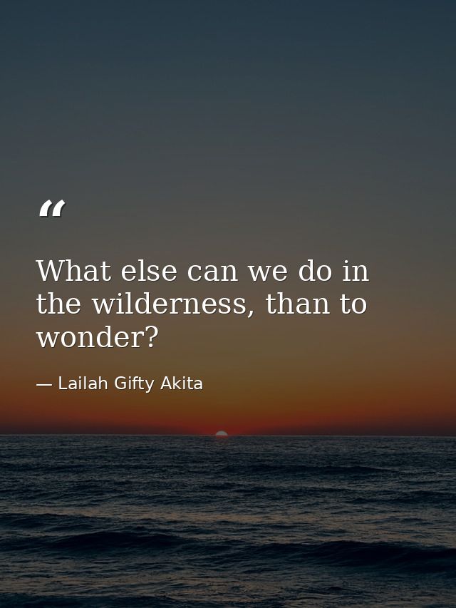What else can we do in the wilderness, than to wonder? — Lailah Gifty Akita