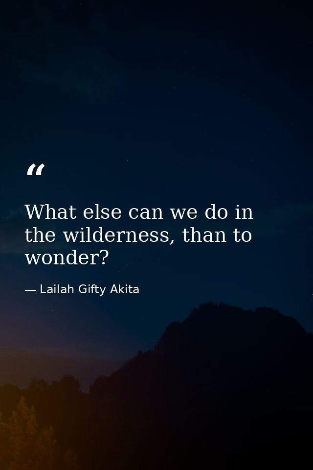 What else can we do in the wilderness, than to wonder? — Lailah Gifty Akita