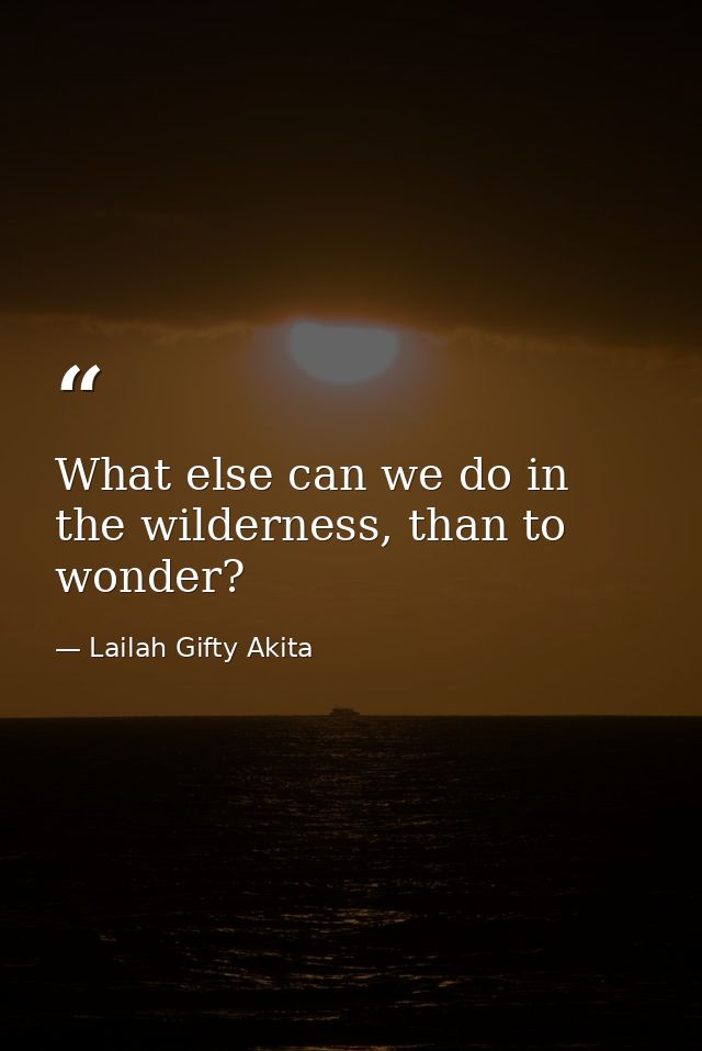 What else can we do in the wilderness, than to wonder? — Lailah Gifty Akita