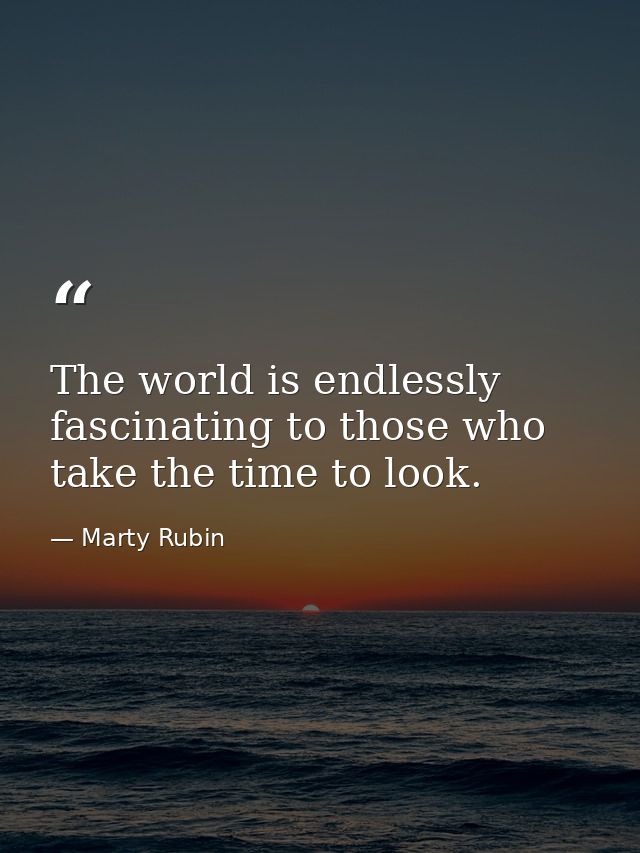 The world is endlessly fascinating to those who take the time to look. — Marty Rubin