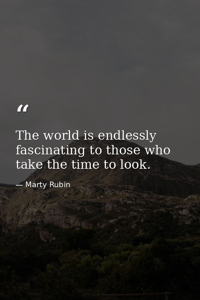 The world is endlessly fascinating to those who take the time to look. — Marty Rubin