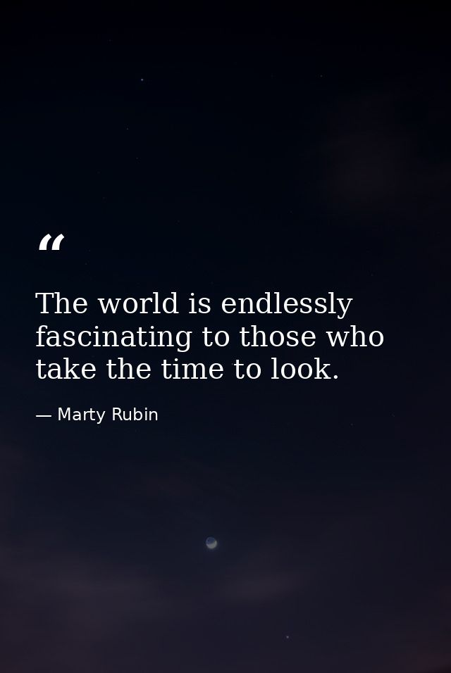 The world is endlessly fascinating to those who take the time to look. — Marty Rubin