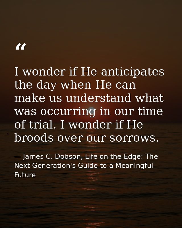 I wonder if He anticipates the day when He can make us understand what was occurring in our time of trial. I wonder if H — James C. Dobson, Life on the Edge: The Next Generation's Guide to a Meaningful Future