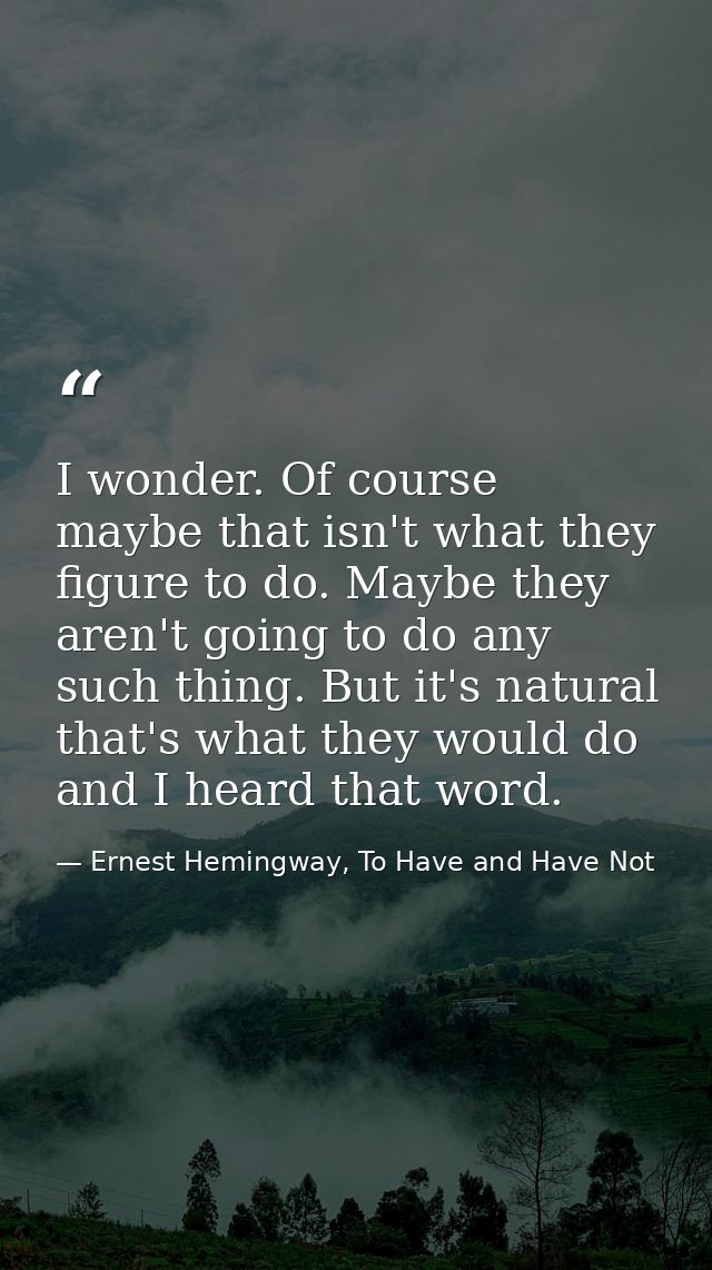 I wonder. Of course maybe that isn't what they figure to do. Maybe they aren't going to do any such thing. But it's natu — Ernest Hemingway, To Have and Have Not