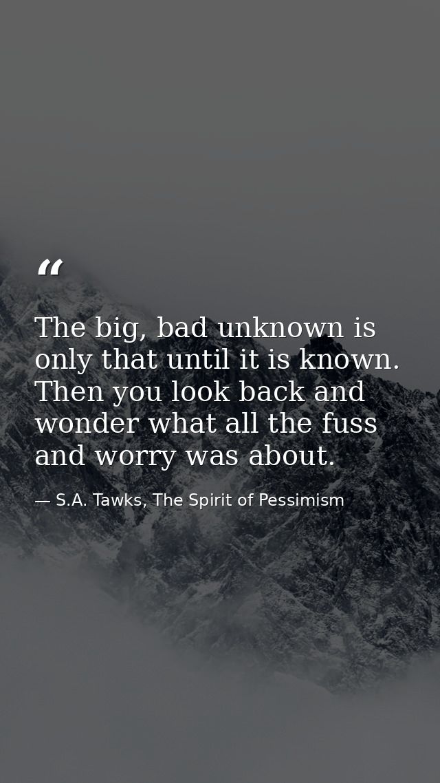 The big, bad unknown is only that until it is known. Then you look back and wonder what all the fuss and worry was about — S.A. Tawks, The Spirit of Pessimism