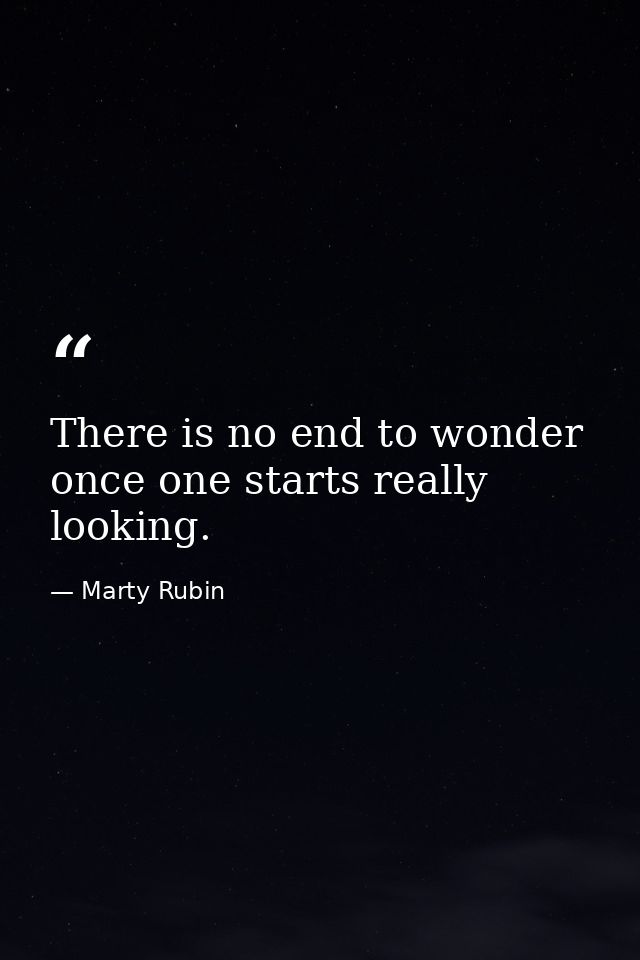 There is no end to wonder once one starts really looking. — Marty Rubin