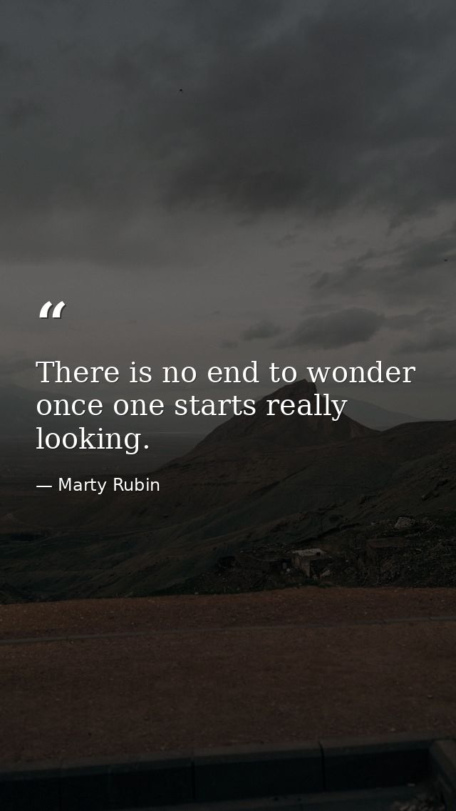 There is no end to wonder once one starts really looking. — Marty Rubin