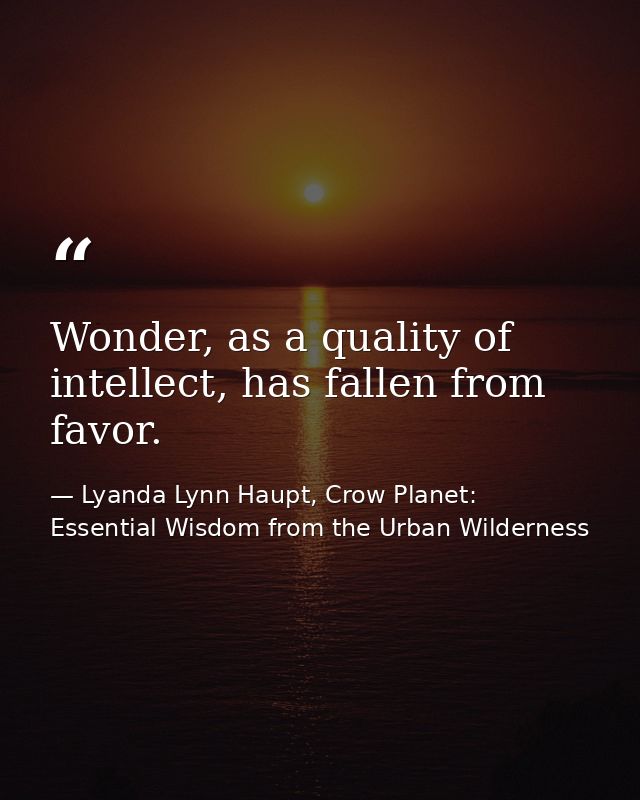 Wonder, as a quality of intellect, has fallen from favor. — Lyanda Lynn Haupt, Crow Planet: Essential Wisdom from the Urban Wilderness