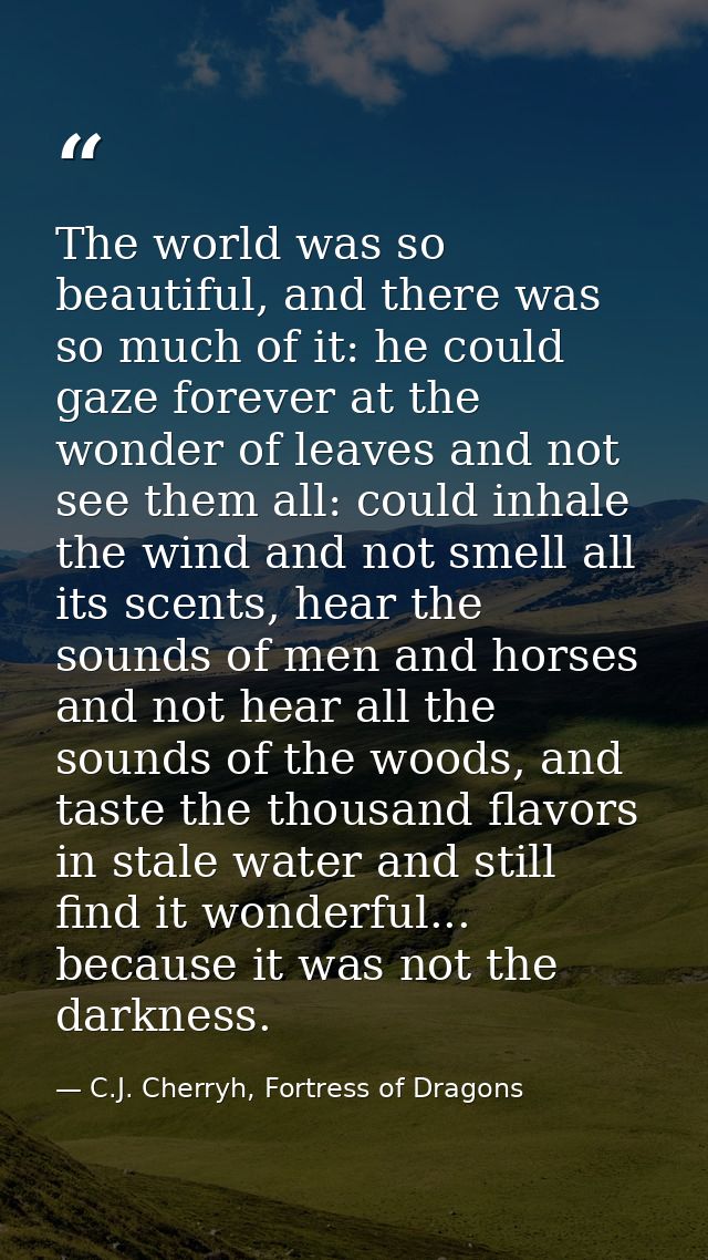 The world was so beautiful, and there was so much of it: he could gaze forever at the wonder of leaves and not see them  — C.J. Cherryh, Fortress of Dragons