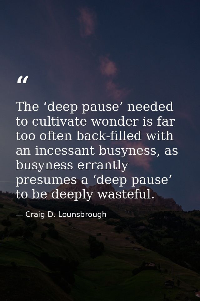 The ‘deep pause’ needed to cultivate wonder is far too often back-filled with an incessant busyness, as busyness errantl — Craig D. Lounsbrough
