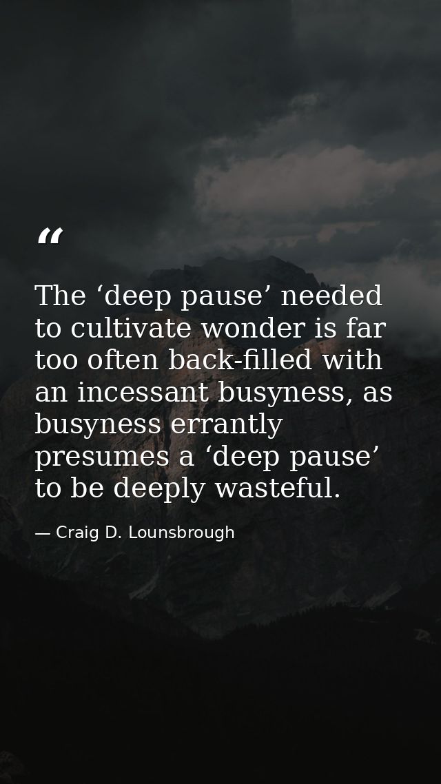 The ‘deep pause’ needed to cultivate wonder is far too often back-filled with an incessant busyness, as busyness errantl — Craig D. Lounsbrough