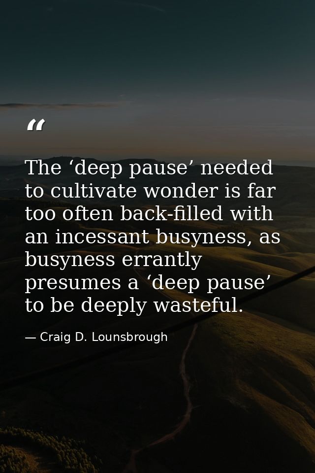 The ‘deep pause’ needed to cultivate wonder is far too often back-filled with an incessant busyness, as busyness errantl — Craig D. Lounsbrough