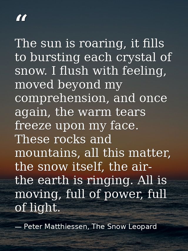 The sun is roaring, it fills to bursting each crystal of snow. I flush with feeling, moved beyond my comprehension, and  — Peter Matthiessen, The Snow Leopard