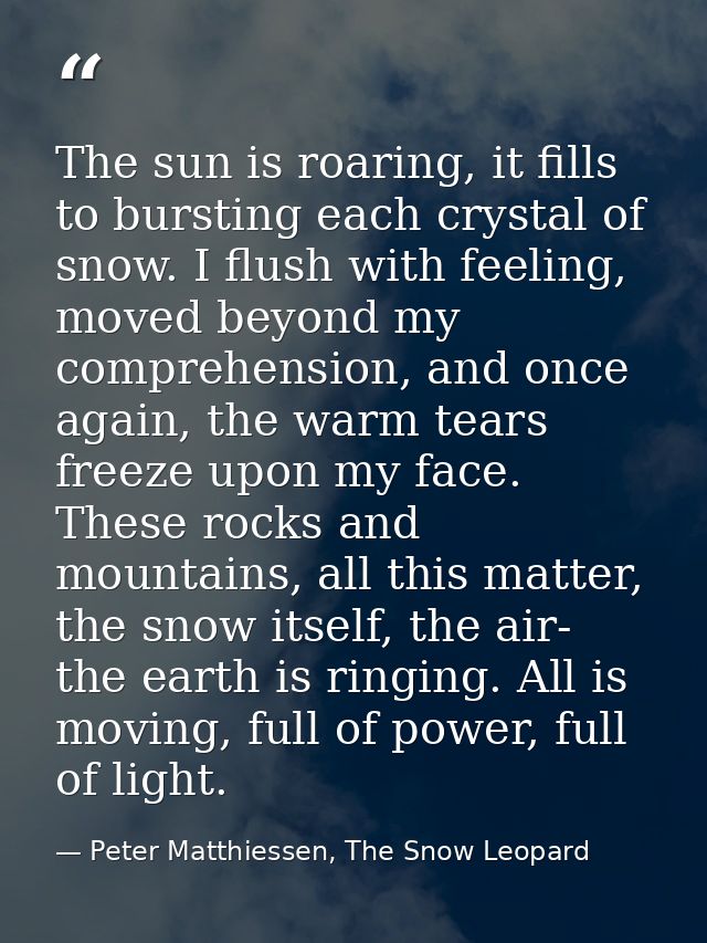 The sun is roaring, it fills to bursting each crystal of snow. I flush with feeling, moved beyond my comprehension, and  — Peter Matthiessen, The Snow Leopard