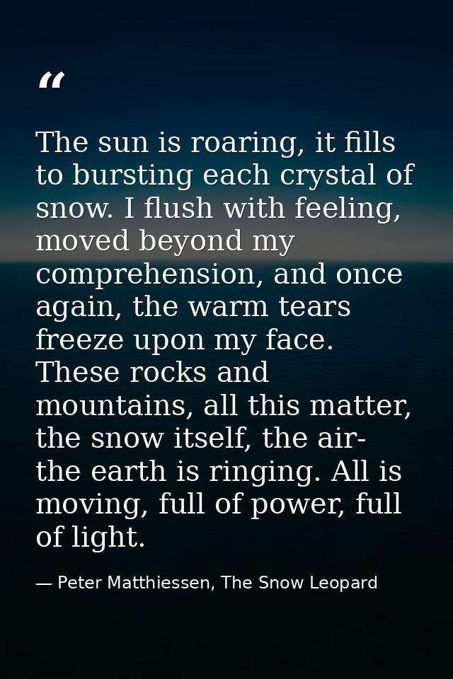 The sun is roaring, it fills to bursting each crystal of snow. I flush with feeling, moved beyond my comprehension, and  — Peter Matthiessen, The Snow Leopard