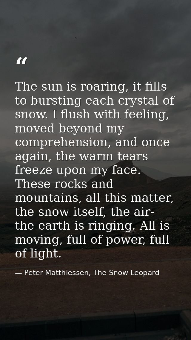 The sun is roaring, it fills to bursting each crystal of snow. I flush with feeling, moved beyond my comprehension, and  — Peter Matthiessen, The Snow Leopard