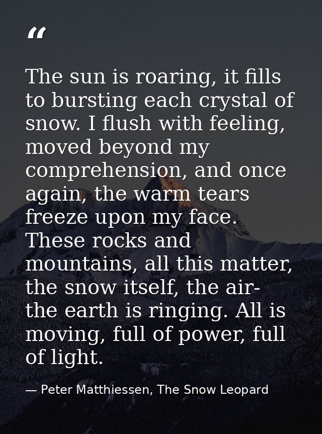 The sun is roaring, it fills to bursting each crystal of snow. I flush with feeling, moved beyond my comprehension, and  — Peter Matthiessen, The Snow Leopard