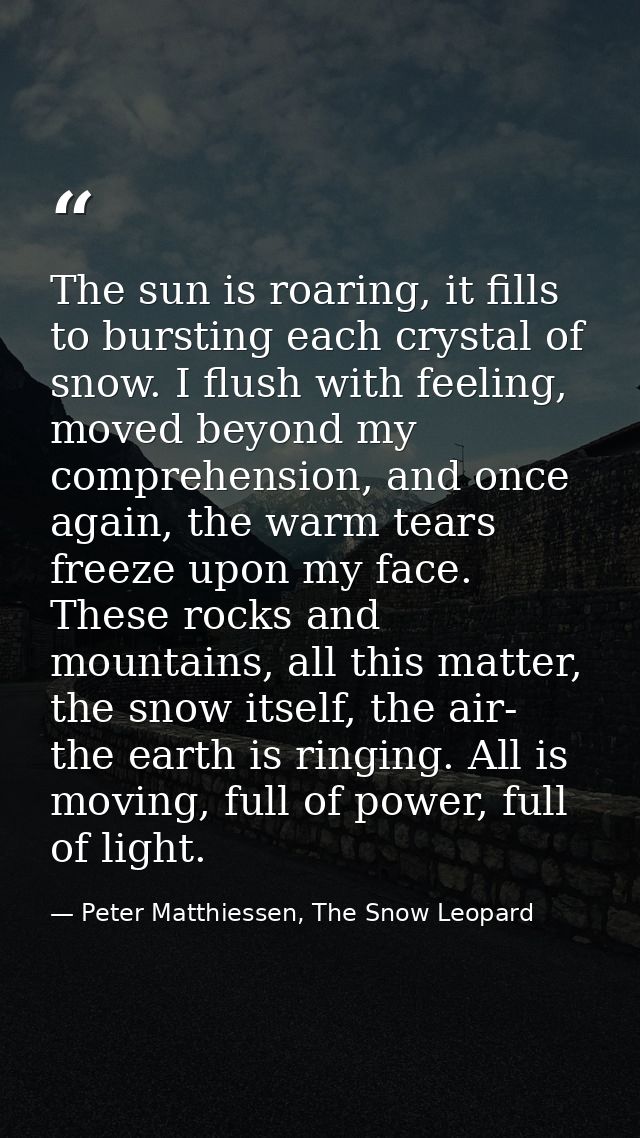 The sun is roaring, it fills to bursting each crystal of snow. I flush with feeling, moved beyond my comprehension, and  — Peter Matthiessen, The Snow Leopard
