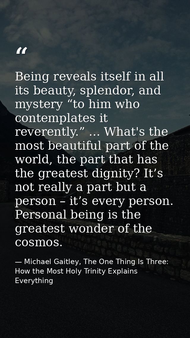 Being reveals itself in all its beauty, splendor, and mystery “to him who contemplates it reverently.” ... What's the mo — Michael Gaitley, The One Thing Is Three: How the Most Holy Trinity Explains Everything
