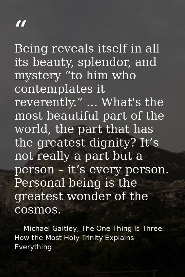 Being reveals itself in all its beauty, splendor, and mystery “to him who contemplates it reverently.” ... What's the mo — Michael Gaitley, The One Thing Is Three: How the Most Holy Trinity Explains Everything
