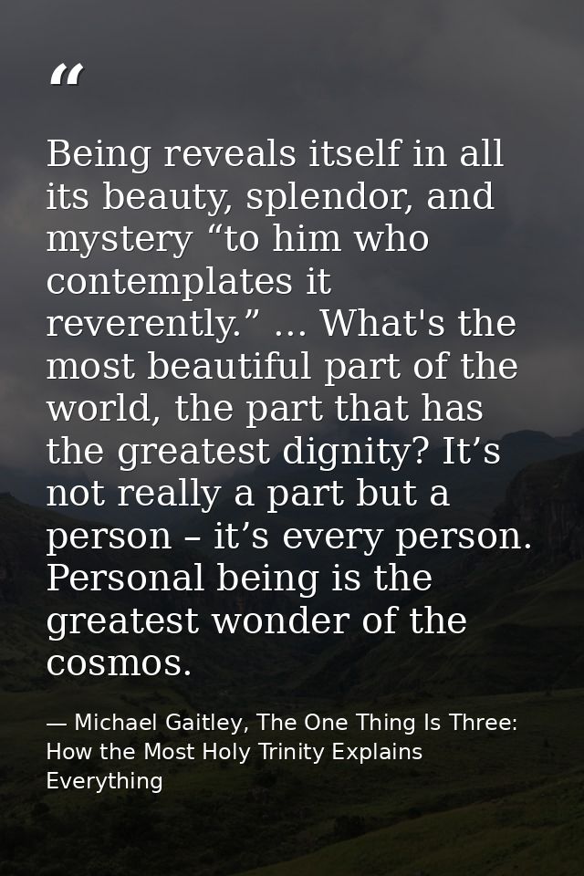 Being reveals itself in all its beauty, splendor, and mystery “to him who contemplates it reverently.” ... What's the mo — Michael Gaitley, The One Thing Is Three: How the Most Holy Trinity Explains Everything